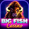 Big Fish Casino - Slots Games icon