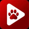 Bear Player icon