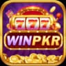 WINPKR icon