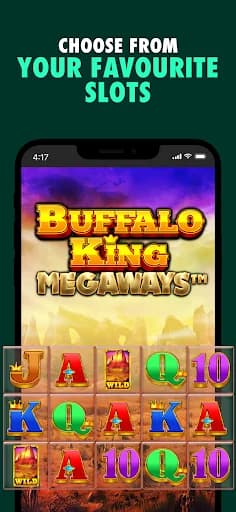 bet365 Casino Games & Slots screenshot 6