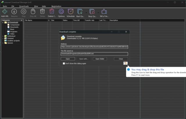 Internet Download Manager screenshot 2