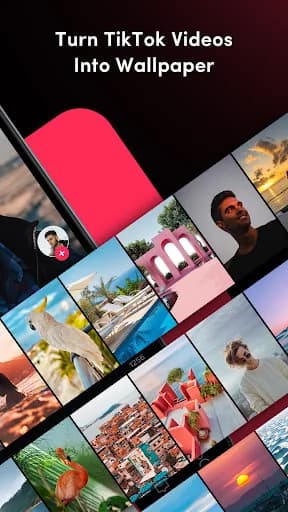 TickTock-TikTok Live Wallpaper screenshot 5