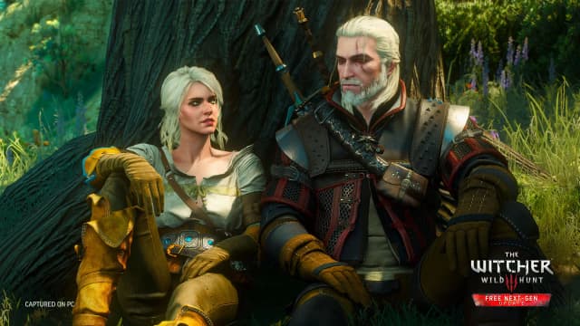The Witcher 3: Wild Hunt screenshot 3