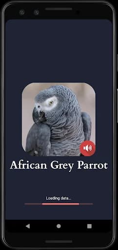African Grey Parrot Sounds screenshot 3