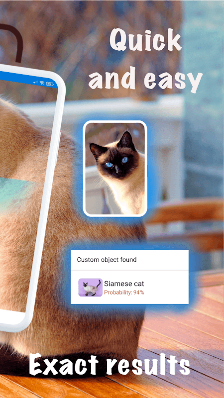 Cat breeds - Photos screenshot 2