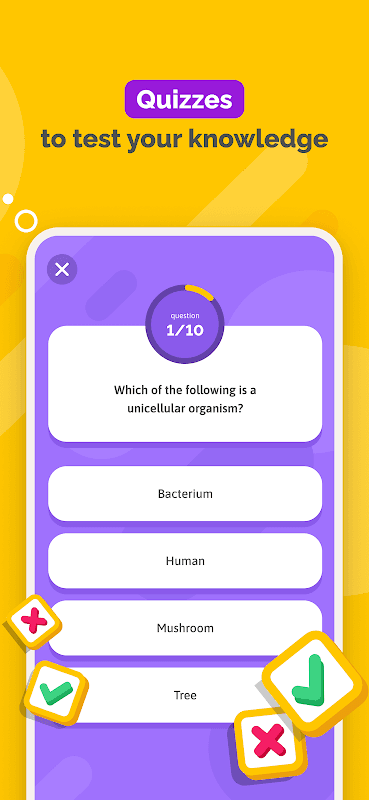 SchoolMouv - Tous tes cours collège et lycée 🚀 screenshot 6