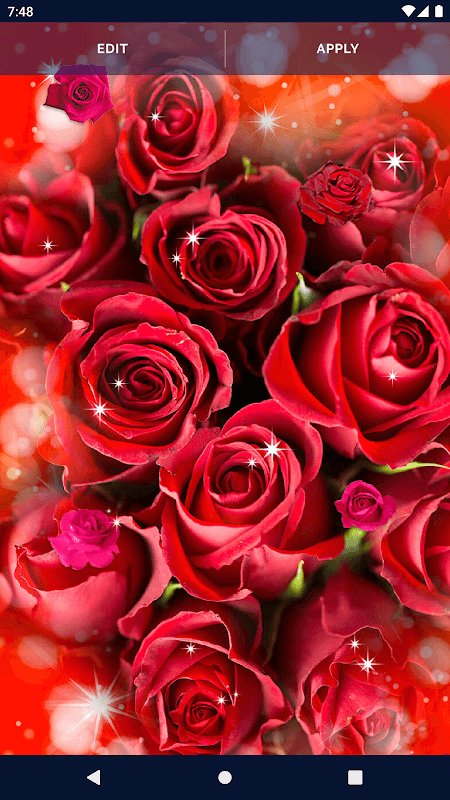 Elegant RedRose Live Wallpaper screenshot 6