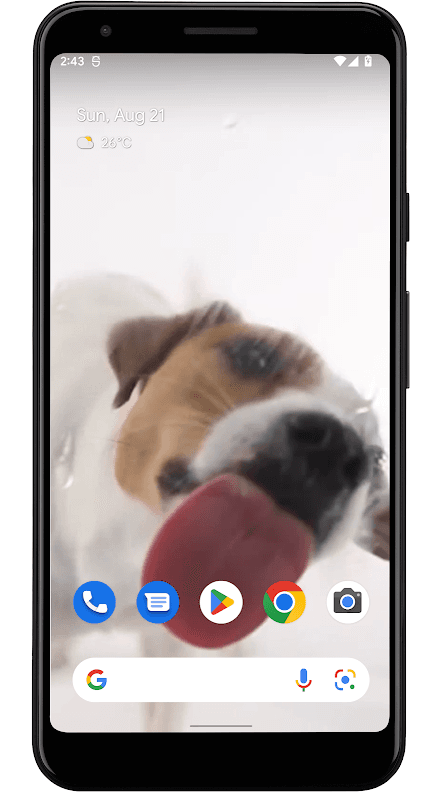 Dog Licks Screen Wallpaper screenshot 6