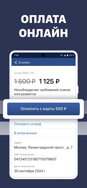 Штрафы с фото: онлайн проверка screenshot 6