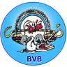 Bharti Vidhya Bhawan Banswara icon