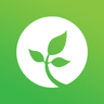 The Seed Church icon