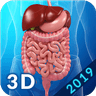 Digestive System icon