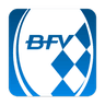 BFV icon