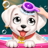 Labrador Puppy Spa Daycare icon