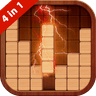 Wood Block Puzzle (QBLOCK) icon